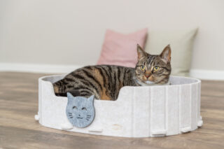 Ase Emelie, vildist, ovaalne, 50 × 42 cm, liivakarva/hall