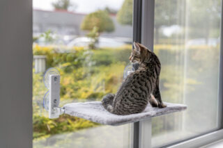 Magamiskoht aknalaudadele kokkupandav, 58x34 cm, valge/hall