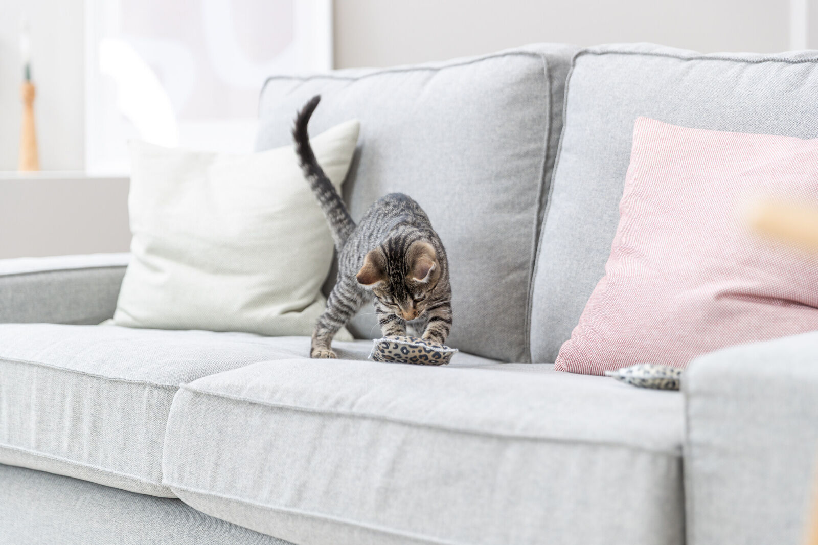 Kassi mänguasi Padi, 7x9 cm