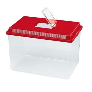 Terraarium plastmassist Geo Extra Large,  35x23x24 11L