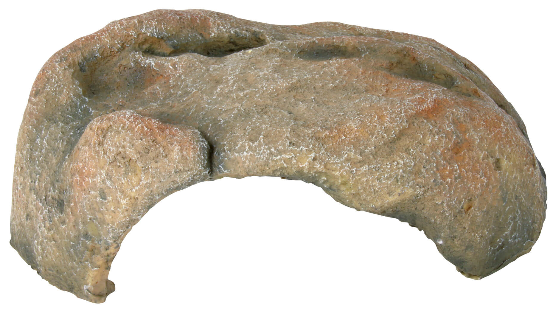Terraariumi dekoor Koobas roomajatele, 31 × 12 × 27 cm