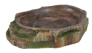 Terrariumi kauss, 18x4.5x17cm