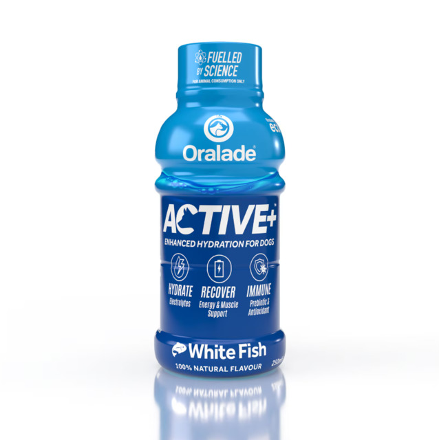 Oralade Active jook koertele kalaga 250 ml