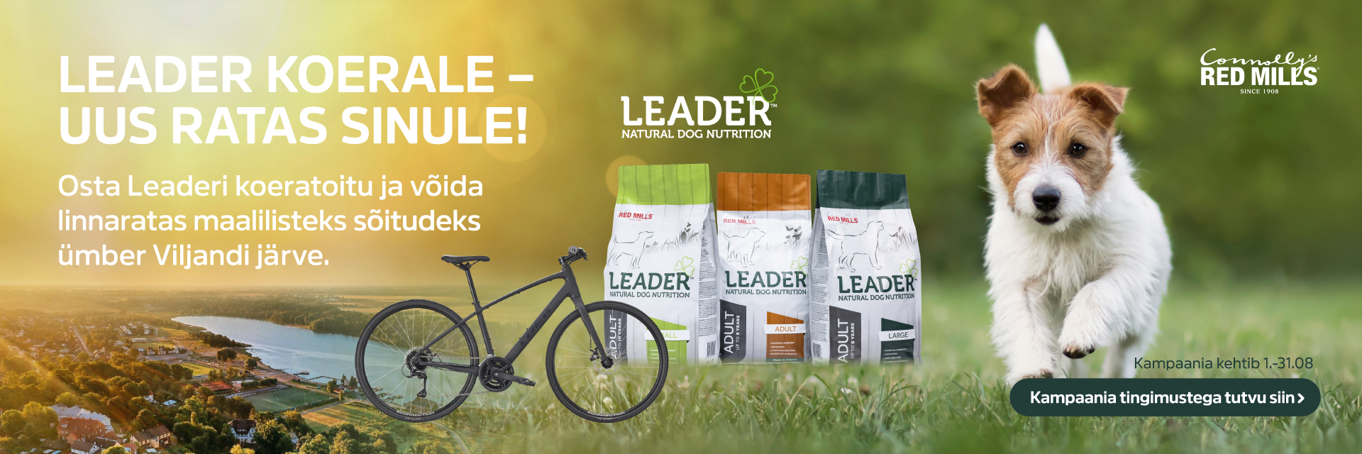 leader