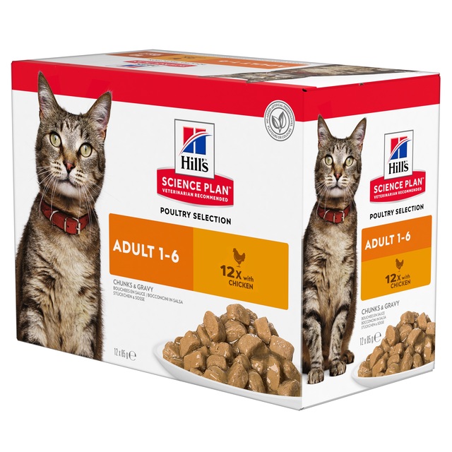 Hills kassi einekotike kana 85g 12tk