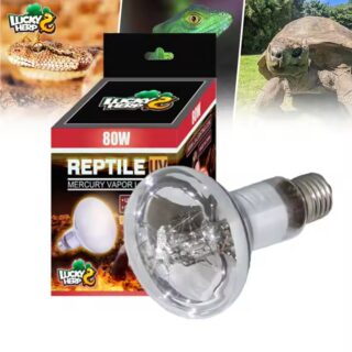 Terraariumi lamp Lucky Herp UVB Mercury Vapor Clear R80 80W