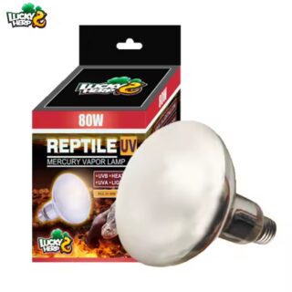 Terraariumi lamp Lucky Herp UVB Mercury Vapor Frosted R95 80W