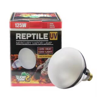 Terraariumi lamp Lucky Herp UVB Mercury Vapor Frosted R115 125W