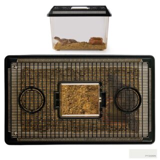 Terraarium plastik Exo-Terra Faunarium Large 37x22x24.5cm