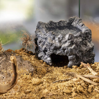 Terraariumi dekoor Exo-Terra Corner Cave small 13x9.5x7.5cm, 55ml