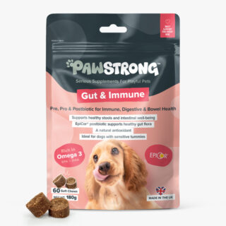 PAWSTRONG KOERA NÄRIMISTABLETT GUT & IMMUNE N60