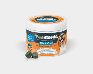 PAWSTRONG KOERA NÄRIMISTABLETT SKIN & COAT N120