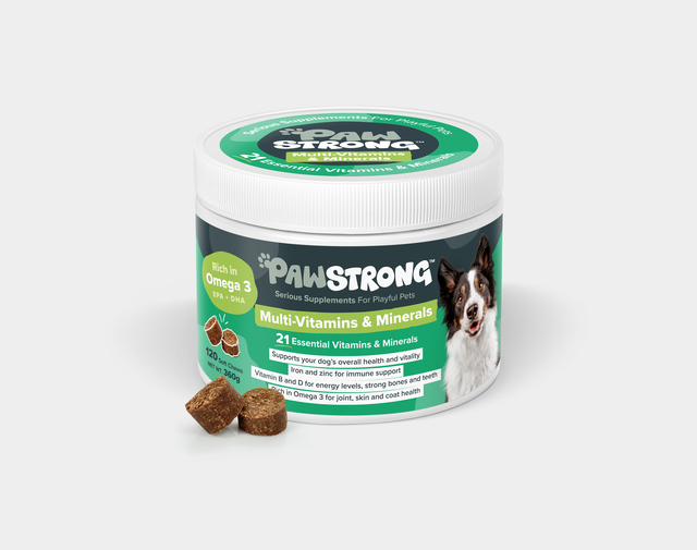 PAWSTRONG KOERA NÄRIMISTABLETT MULTI-VITAMIN&MINERALS N120