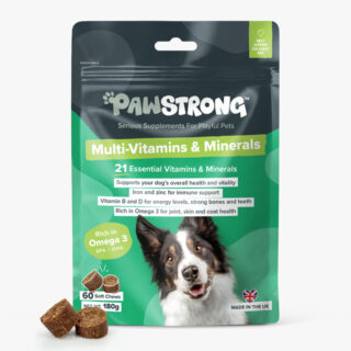 PAWSTRONG KOERA NÄRIMISTABLETT MULTI-VITAMIN&MINERALS N60