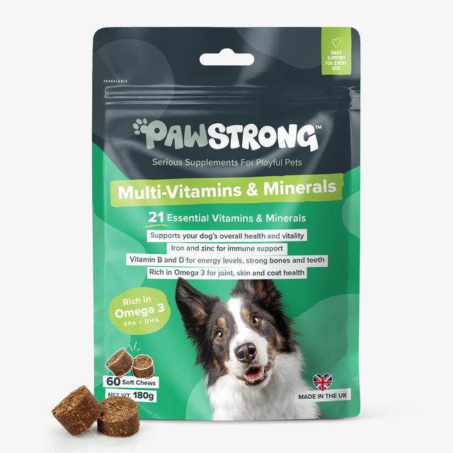 PAWSTRONG KOERA NÄRIMISTABLETT MULTI-VITAMIN&MINERALS N60