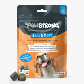 PAWSTRONG KOERA NÄRIMISTABLETT SKIN & COAT N60
