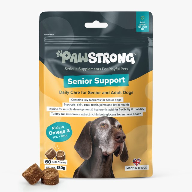 PAWSTRONG KOERA NÄRIMISTABLETT SENIOR N60