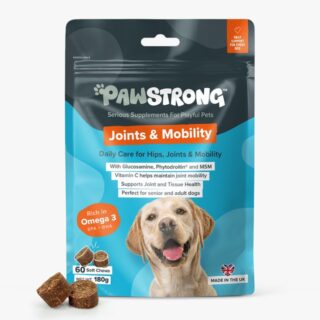 PAWSTRONG KOERA NÄRIMISTABLETT JOINTS & MOBILITY N60