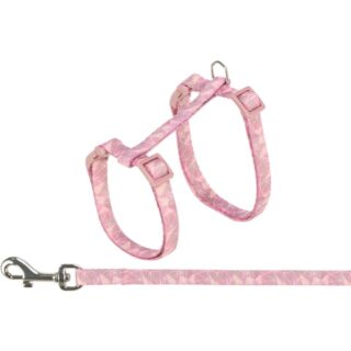 Kassi traksid jalutusrihmaga, geomeetrilise mustriga, 27–45 cm/10 mm, 1,20 m, erinevad