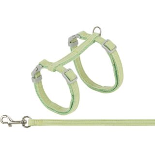 Kassi traksid jalutusrihmaga, samet, 28–45 cm/10 mm, 1,20 m, roheline