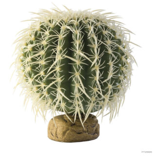 Terraariumi dekoor EXO-TERRA Barrel Cactu M PT2985
