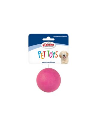 Record tugev pall koerale 6,5cm (assortii)